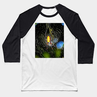 Golden Orb Spider in web Baseball T-Shirt